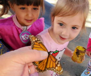 Children with Butterflies Brighton Preschool