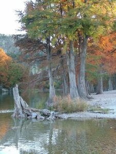 Camping with Children - Garner